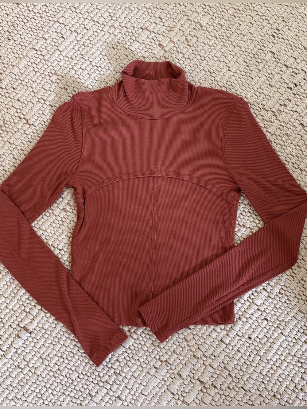 Aritzia Wilfred Free Ribbed Moon Turtleneck Top